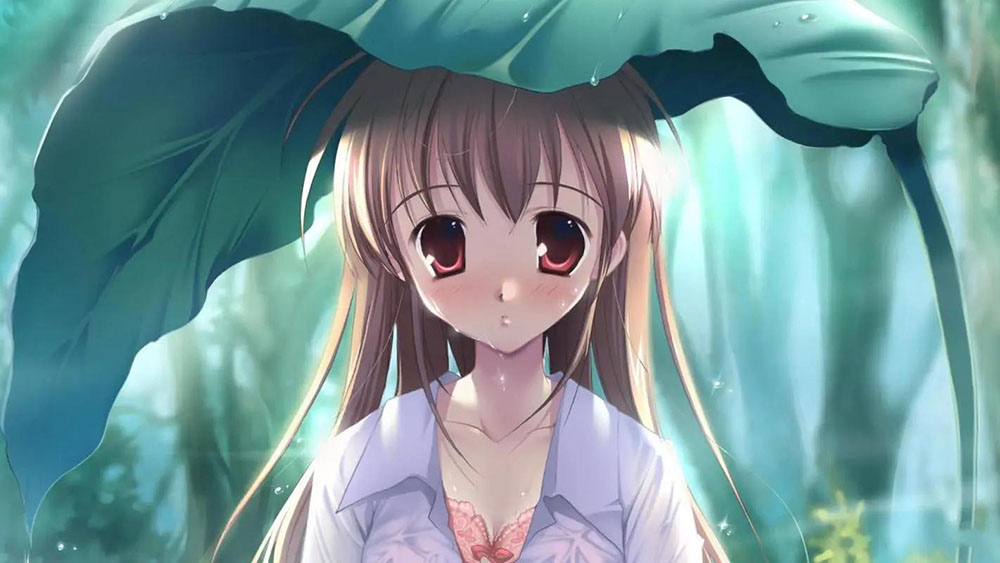 云鹤网创 - 真实网赚项目免费领 • 日入过千资源库
