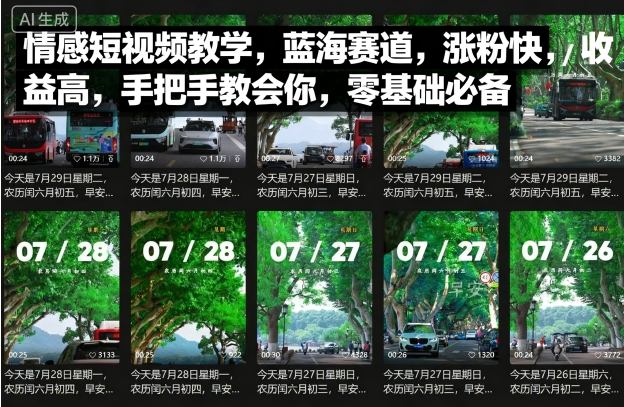 情感短视频教学，蓝海赛道，涨粉快，收益高，手把手教会你，零基础必备-yunhe