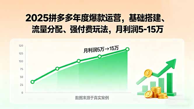 2025拼多多年度爆款运营，基础搭建、流量分配、强付费玩法，月利润5-15万-yunhe
