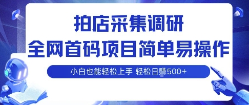 拍店采集调研，全网首码项目，简单易操作， 小白也能轻松上手，多账号操作，轻松日入5张【揭秘】-yunhe