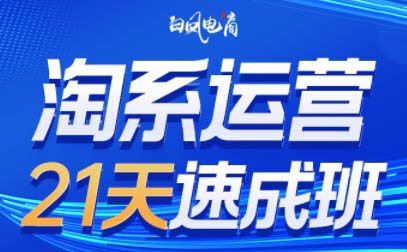 白凤电商·淘系运营21天速成班(更新9月)-yunhe