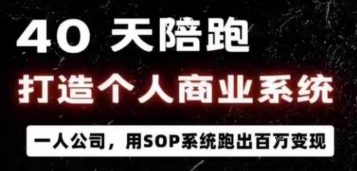 40天陪跑打造个人商业系统，一人公司，用SOP系统跑出百W变现-yunhe