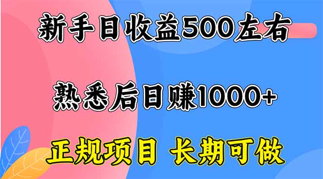 新手日收益500+ 正规项目 长期可做-yunhe