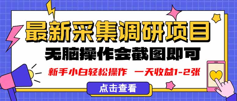 新版采集调研项目，截图上传即可，无脑操作，日收益1-2张-yunhe