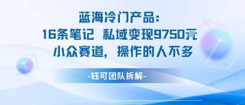 蓝海项目：16条笔记私域变现9750米小众赛道操作的人不多-yunhe