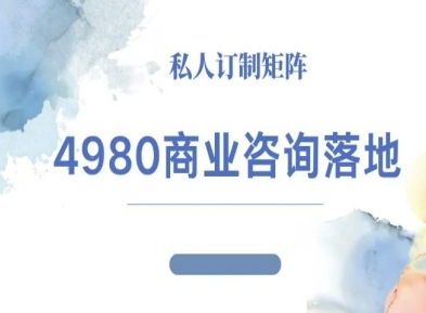 4980商业咨询师落地课程-ip运营高客单教程-yunhe