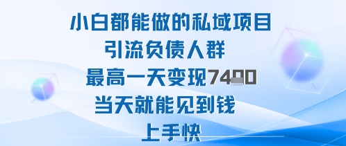 2025年小白都能做的私域项目引流负债人群最高一天变现1k+高变现难度低当天就能见到钱上手快-yunhe